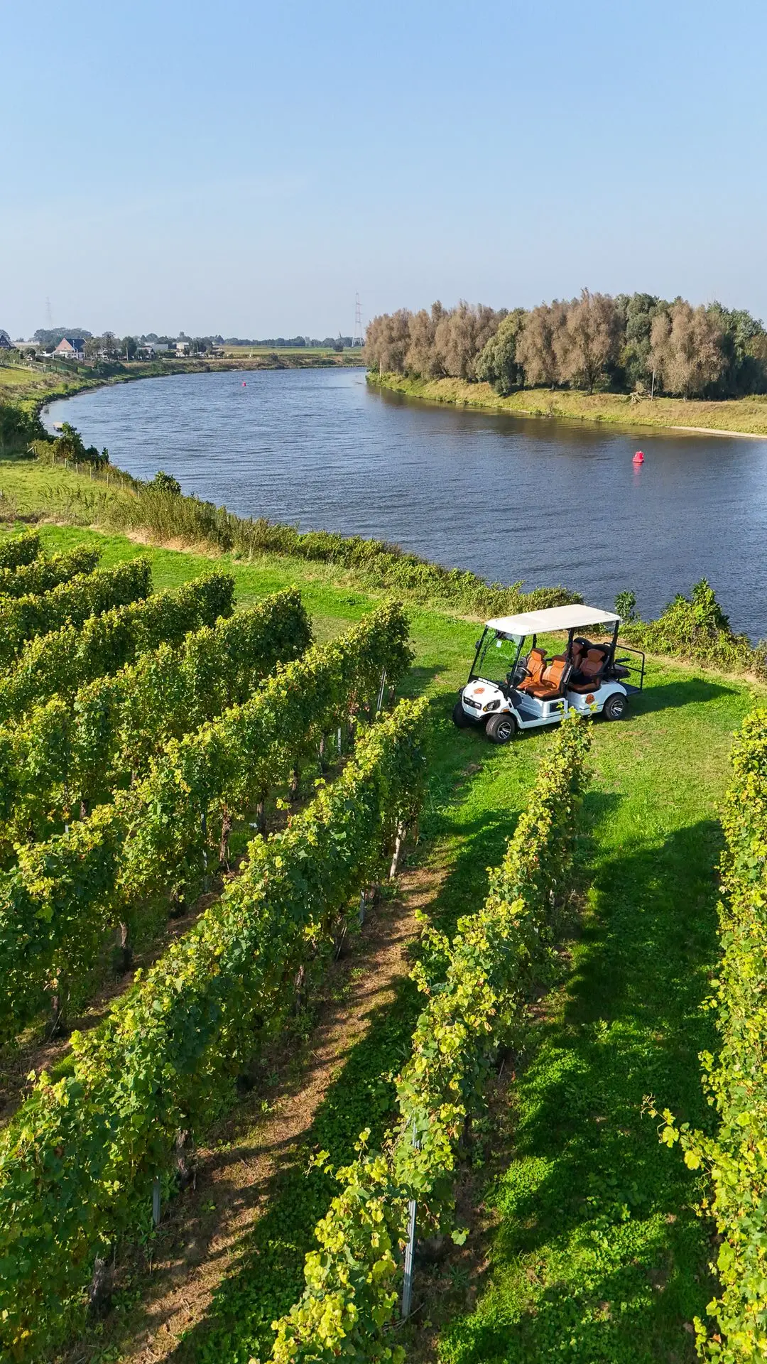 Golfkarretjes in de Maasvallei