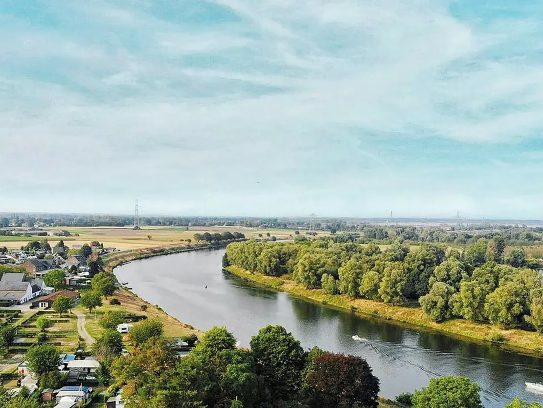 Wijnlandschap langs de Maas in de Maasvallei