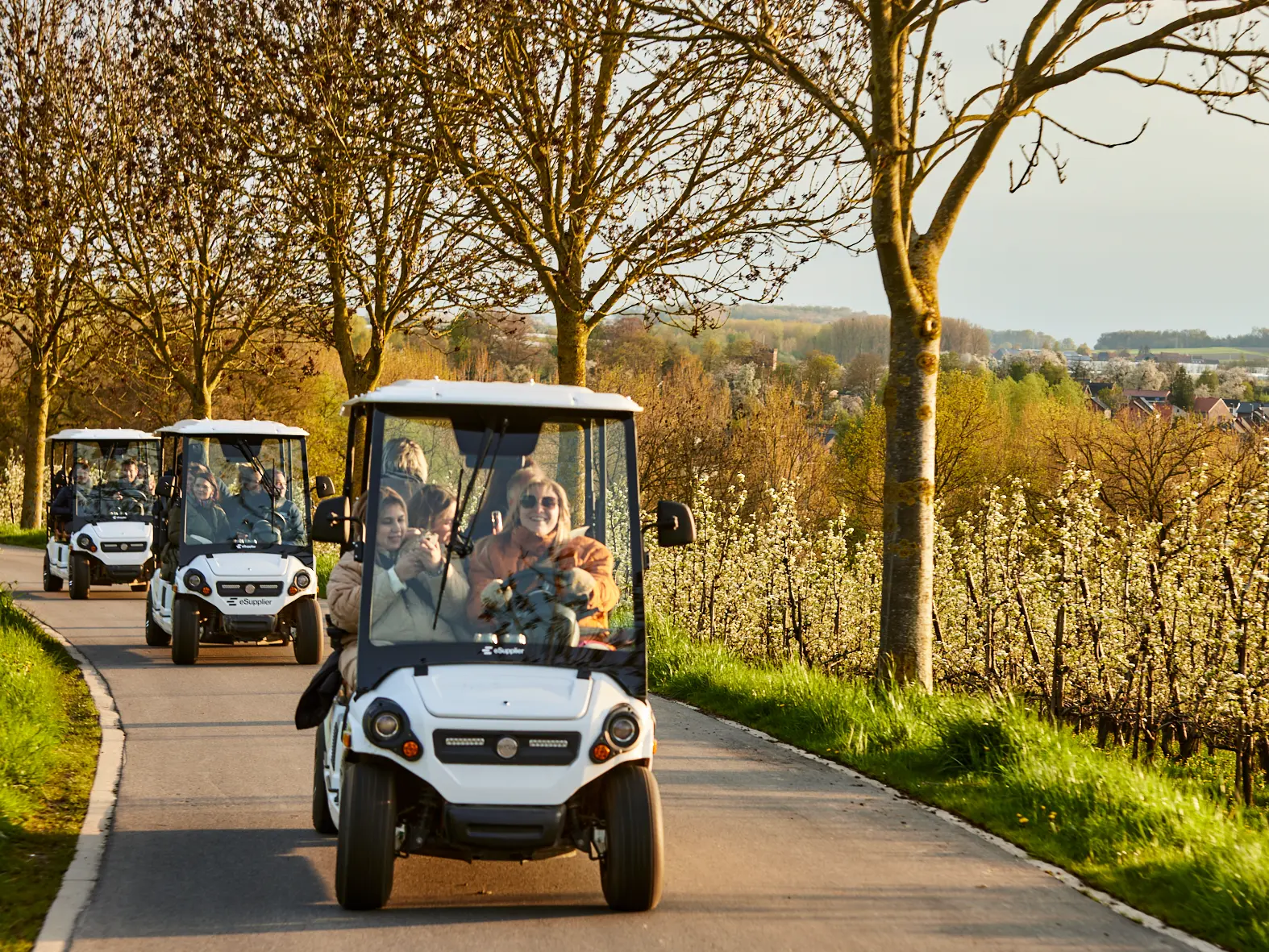 Wijnsafari-wagentjes tijdens golden hour tussen de wijngaarden