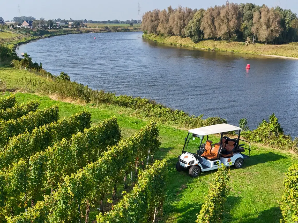 Elektrisch Wijnsafari-wagentje tussen de wijngaarden langs de Maas
