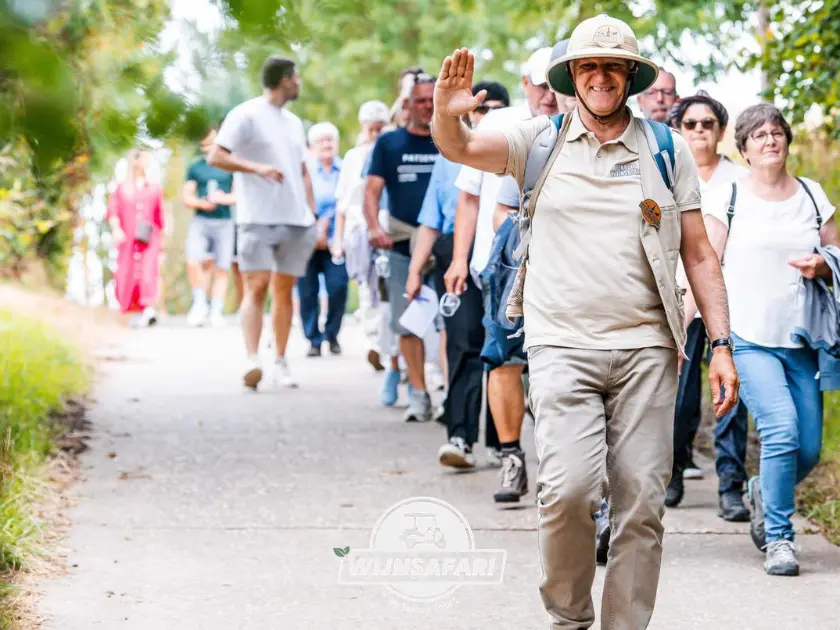 Groep tijdens een begeleide wandeling door het Belgische wijnland